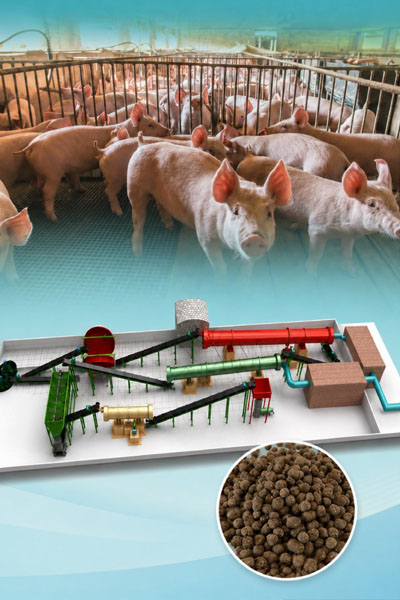 Pig Manure Disposal